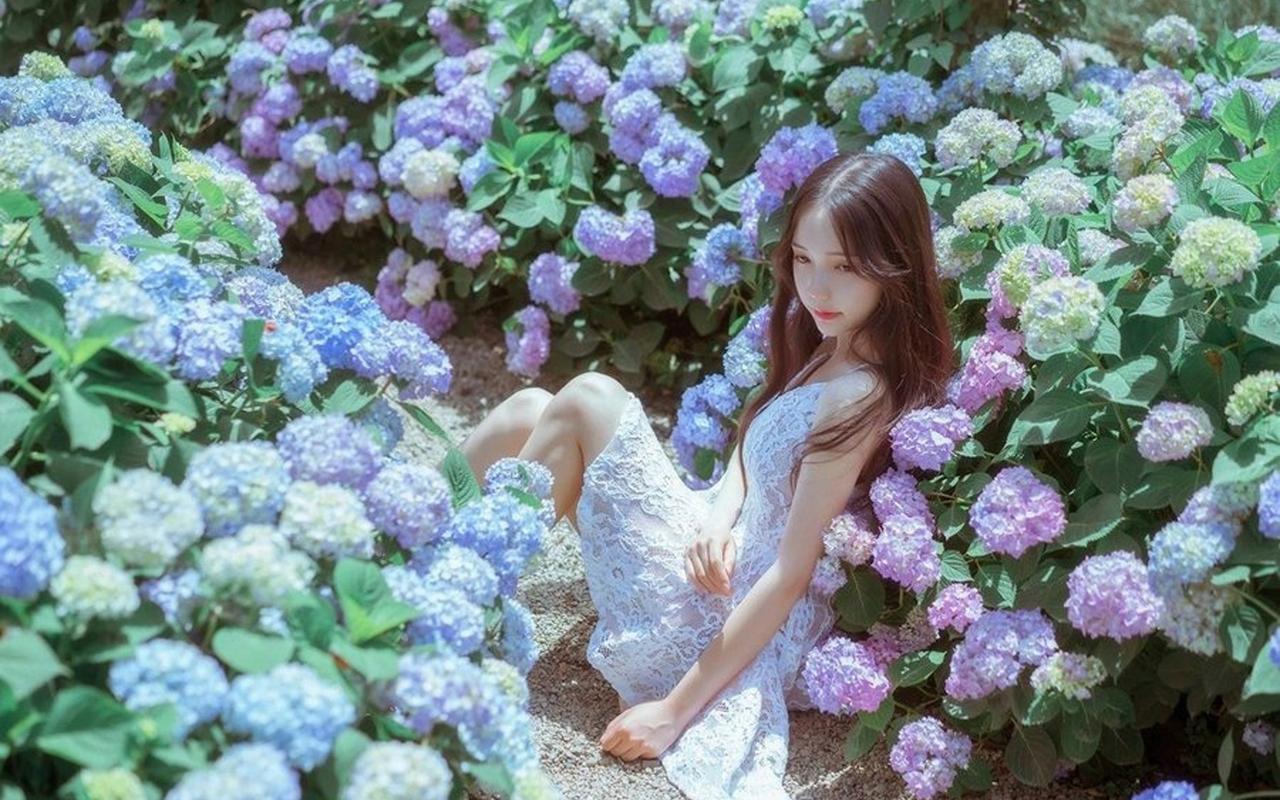 外交部：叙利亚的主权和领土完整应得到尊重